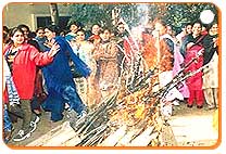 exhibition of lohri dance