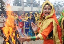 Harvest Festival of Punjab