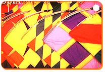 International Kite Festival