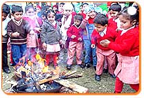 Lohri Festival